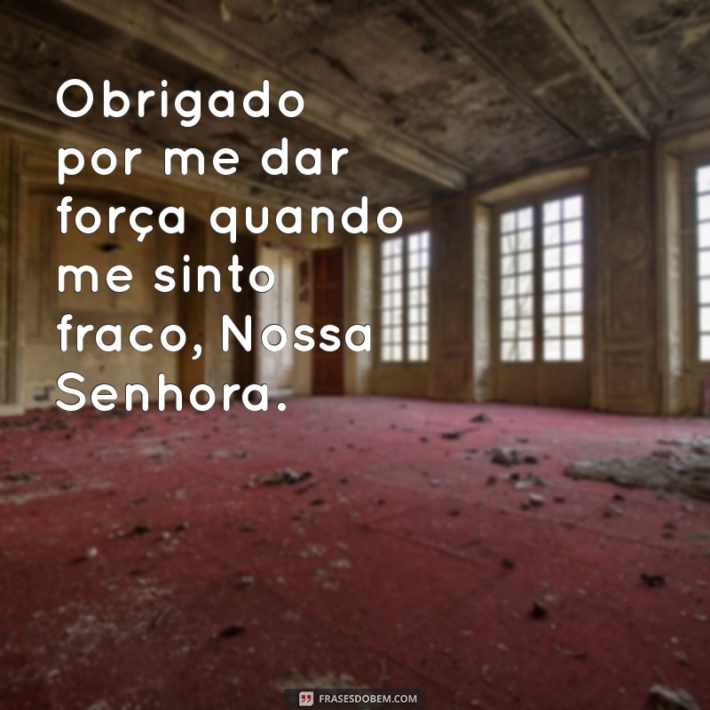 Frases Inspiradoras de Agradecimento a Nossa Senhora: Expresse sua Gratidão 