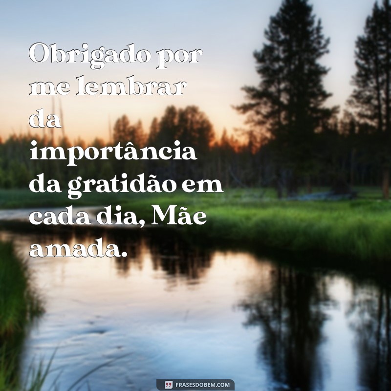 Frases Inspiradoras de Agradecimento a Nossa Senhora: Expresse sua Gratidão 