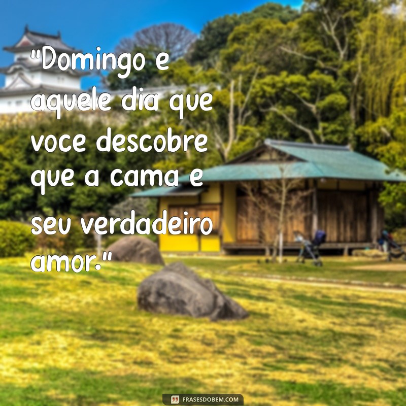 frases de domingo engraçada 