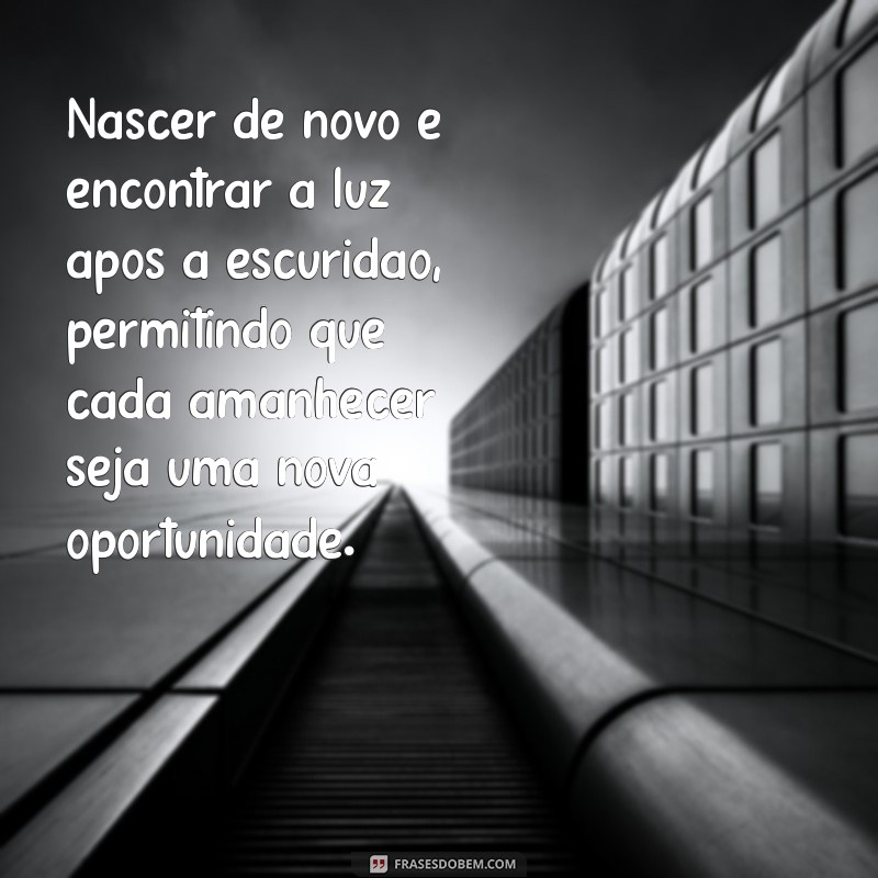 reflexão sobre nascer de novo Nascer de novo é encontrar a luz após a escuridão, permitindo que cada amanhecer seja uma nova oportunidade.