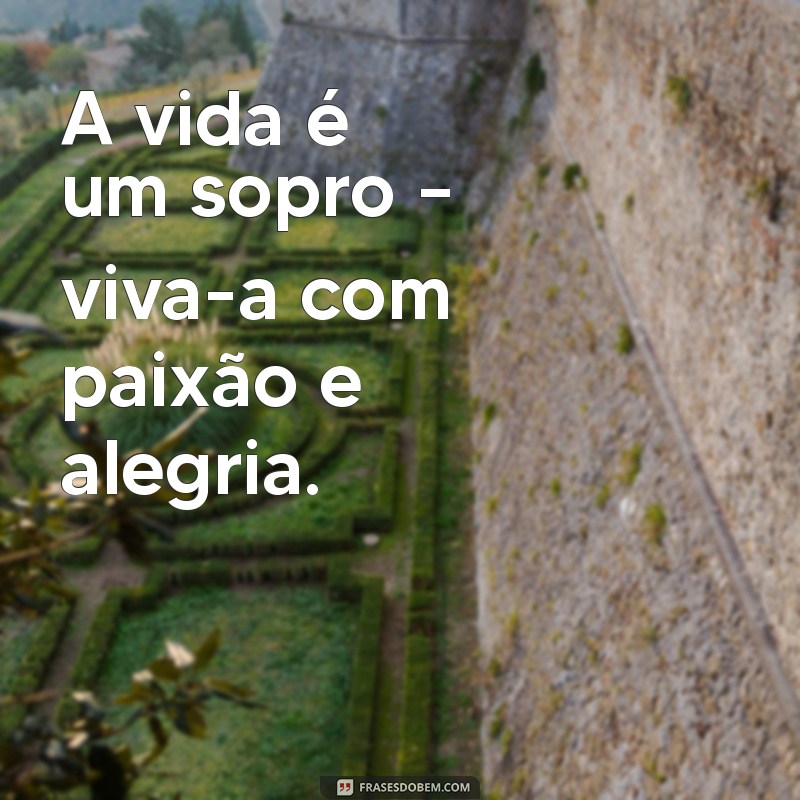 A Vida é um Sopro: Reflexões sobre a Brevidade e a Importância do Presente 