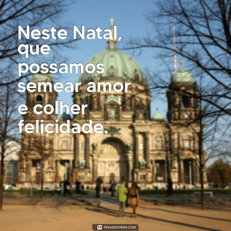 As Melhores Frases Natalinas para Inspirar seu Fim de Ano 