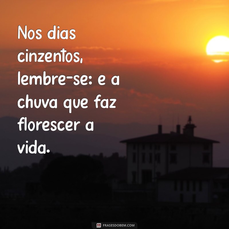 Frases Inspiradoras para Dias Chuvosos: Reflexões e Emoções 