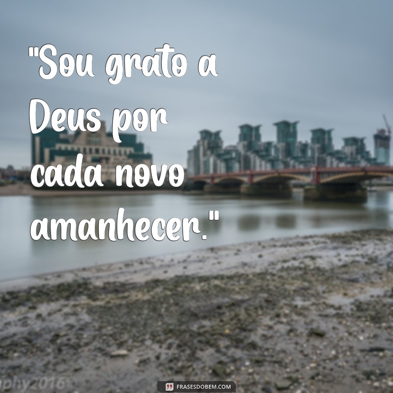 gratidão a deus frases curtas para status 