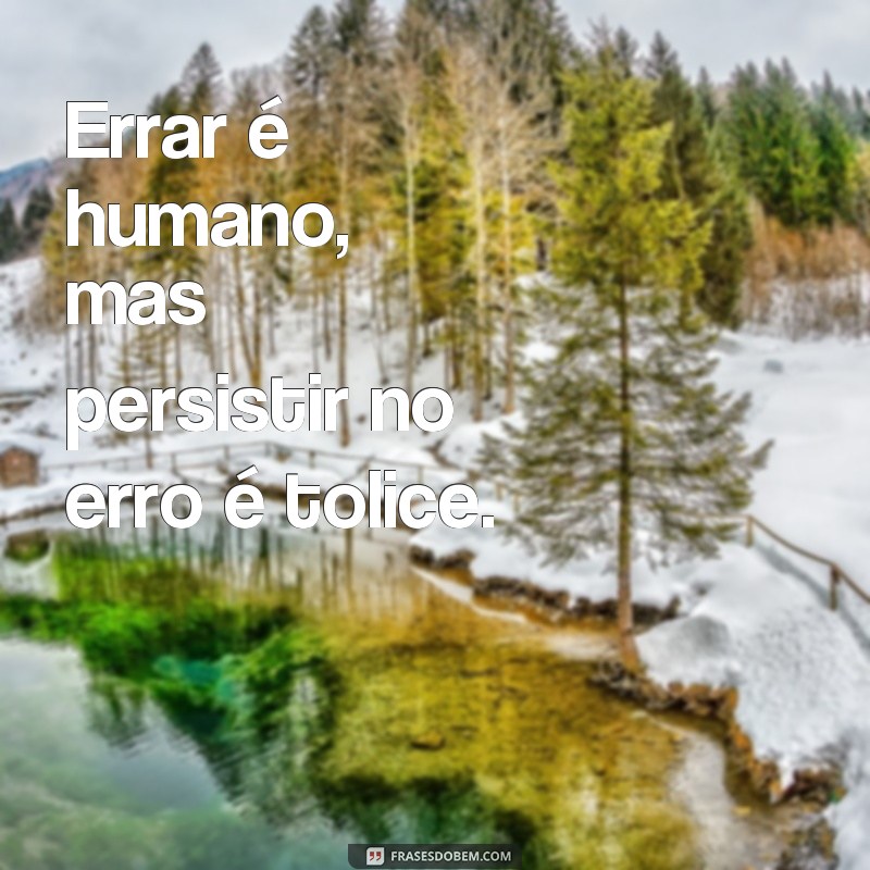 frases de erros na vida Errar é humano, mas persistir no erro é tolice.