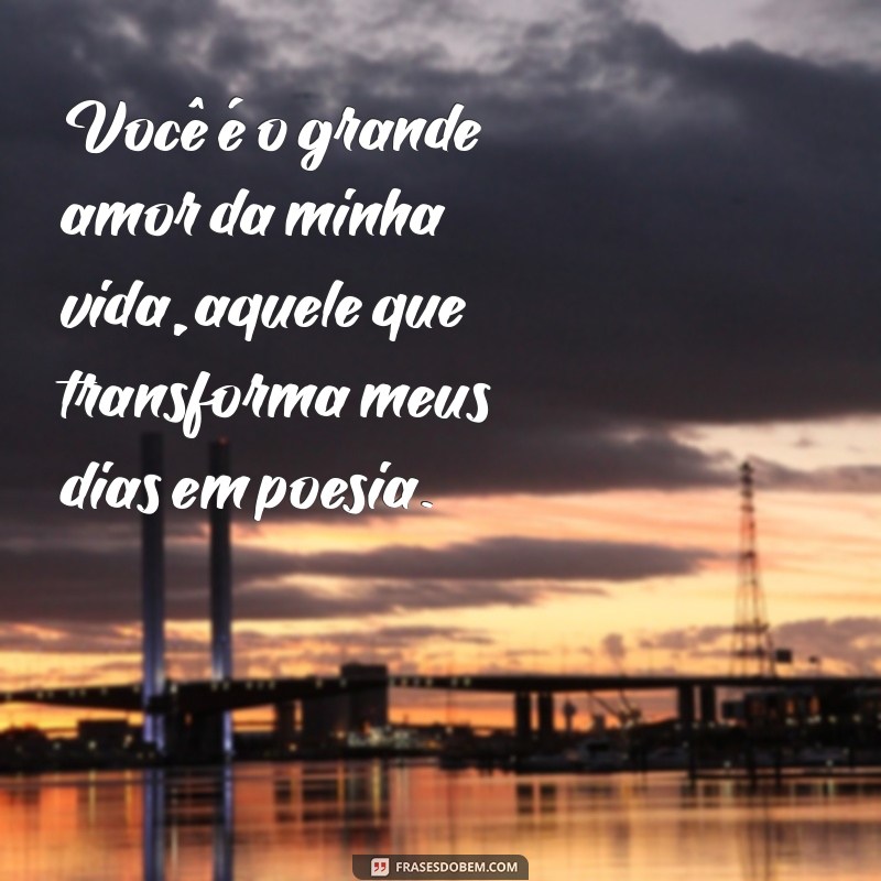 grande amor da minha vida Você é o grande amor da minha vida, aquele que transforma meus dias em poesia.