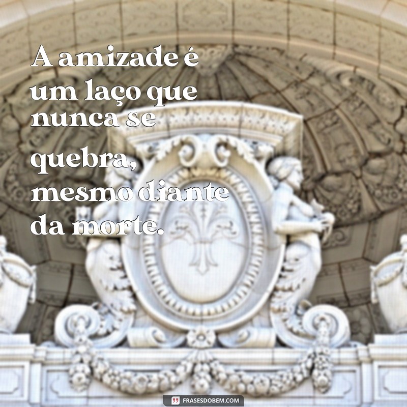 Frases Comoventes para Lidar com a Perda de um Amigo 