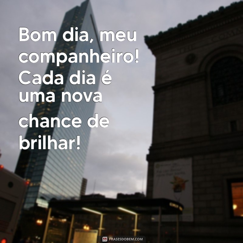 Bom Dia, Meu Companheiro: Frases Inspiradoras para Começar o Dia com Positividade 