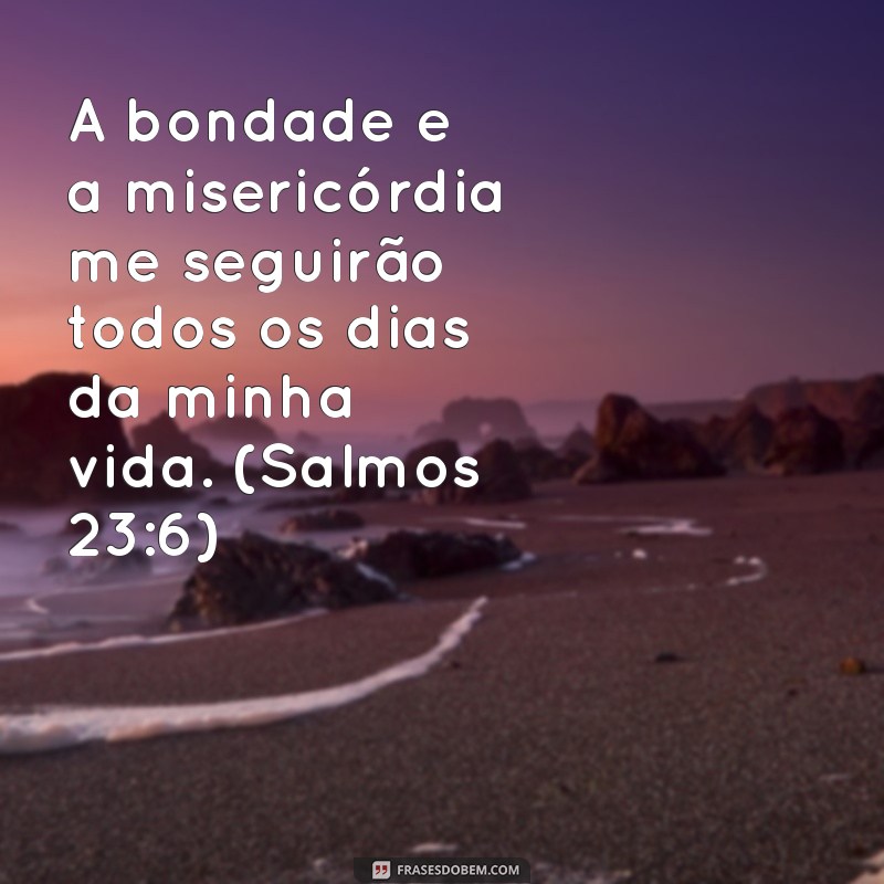 As 229 Frases Mais Lindas da Bíblia para Inspirar sua Alma 