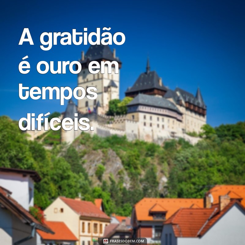 Frases Inspiradoras de Gratidão para Status: Expresse sua Agradecimento 