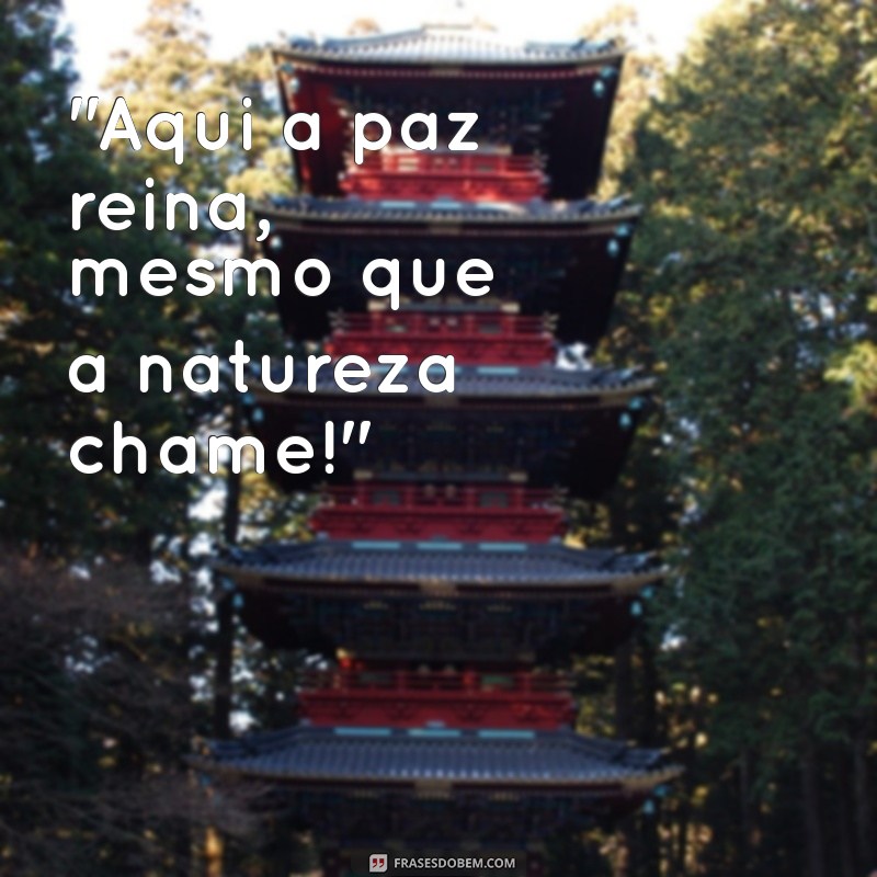 frases para colocar no banheiro 