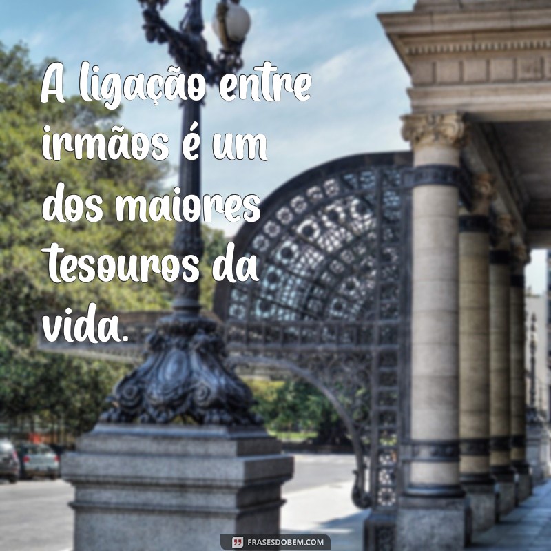 Frases Inspiradoras e Bonitas para Celebrar o Amor entre Irmãos 