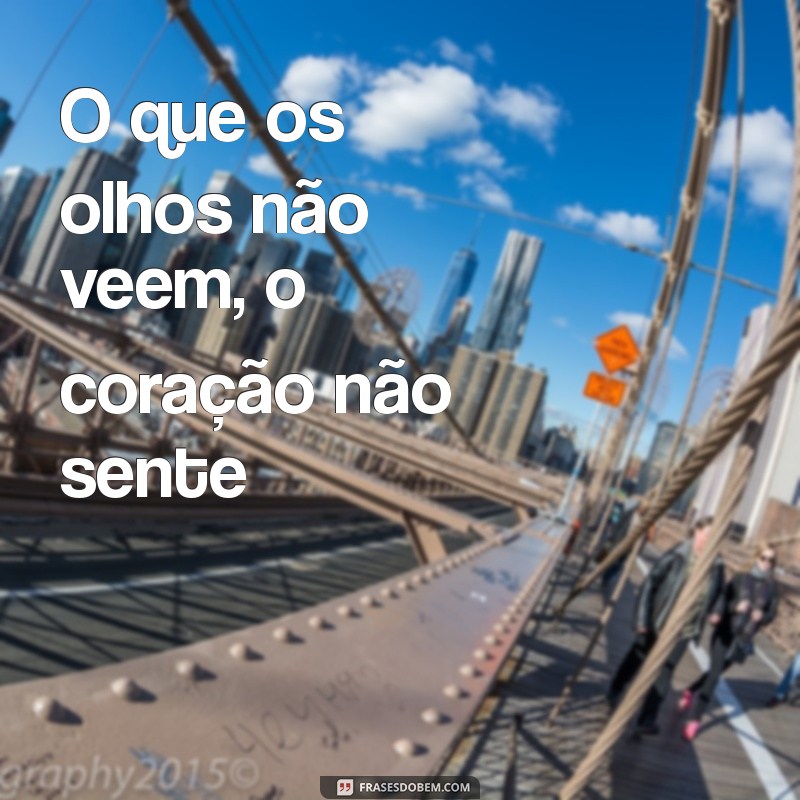 10 Ditados Populares Que Sempre Falamos Errado e Seus Verdadeiros Significados 