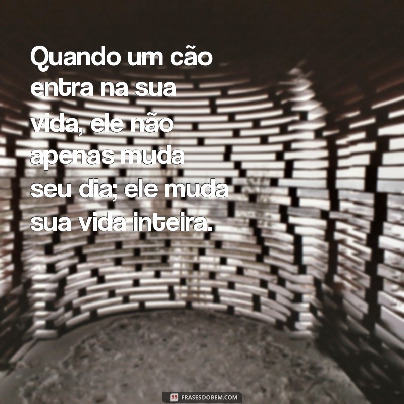 As Melhores Frases sobre Cães: Celebre o Amor e a Lealdade dos Nossos Fiéis Companheiros 