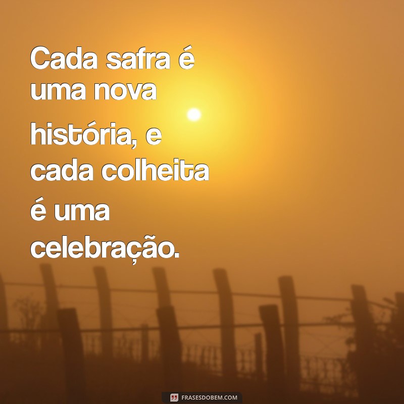 Frases Inspiradoras do Agro: Reflexões e Sabedoria do Campo 