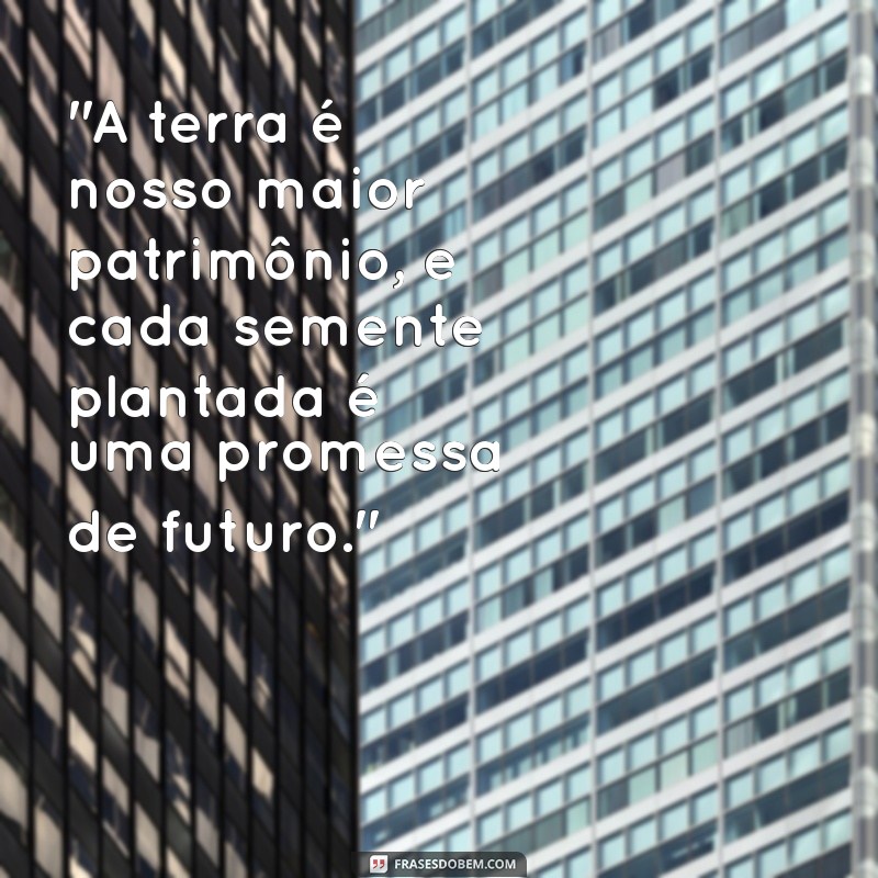 frases do agro 