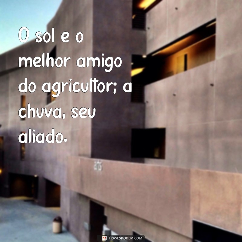 Frases Inspiradoras do Agro: Reflexões e Sabedoria do Campo 