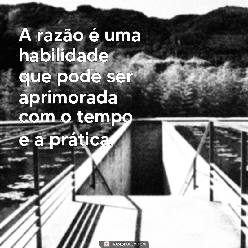 Descubra as melhores frases de razão para refletir e se inspirar 