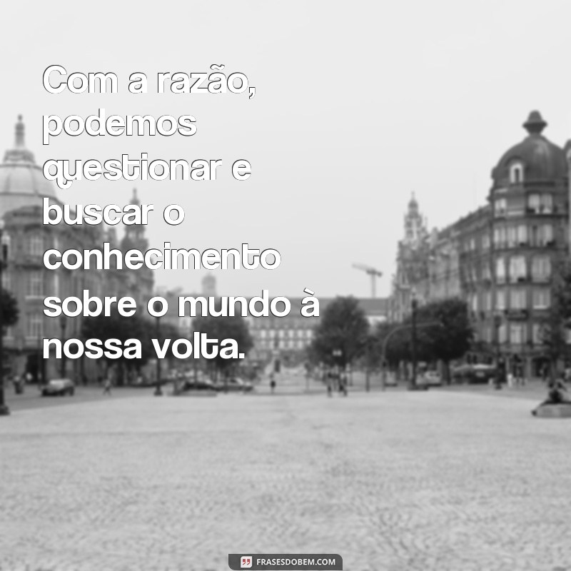 Descubra as melhores frases de razão para refletir e se inspirar 