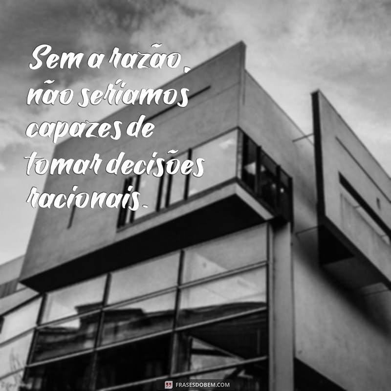 Descubra as melhores frases de razão para refletir e se inspirar 