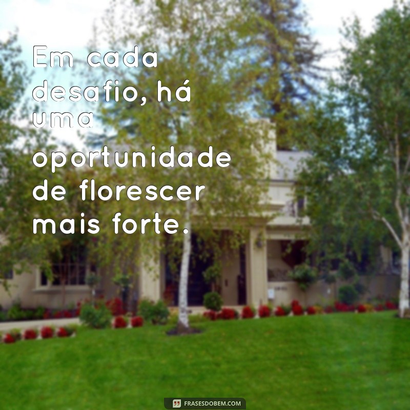 Frases Inspiradoras para Florescer na Vida: Cultive Seu Potencial 