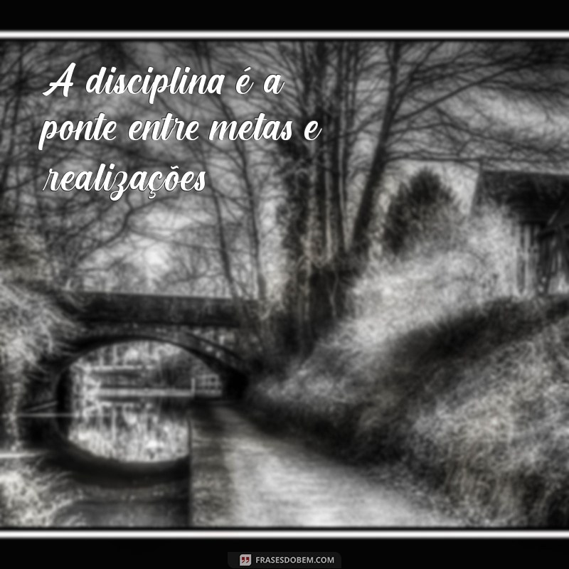 Frases Inspiradoras de Profissionais de Sucesso para Motivar sua Carreira 