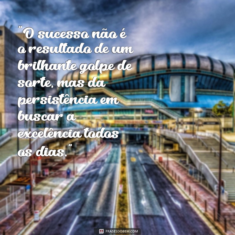 frases de profissional de sucesso 