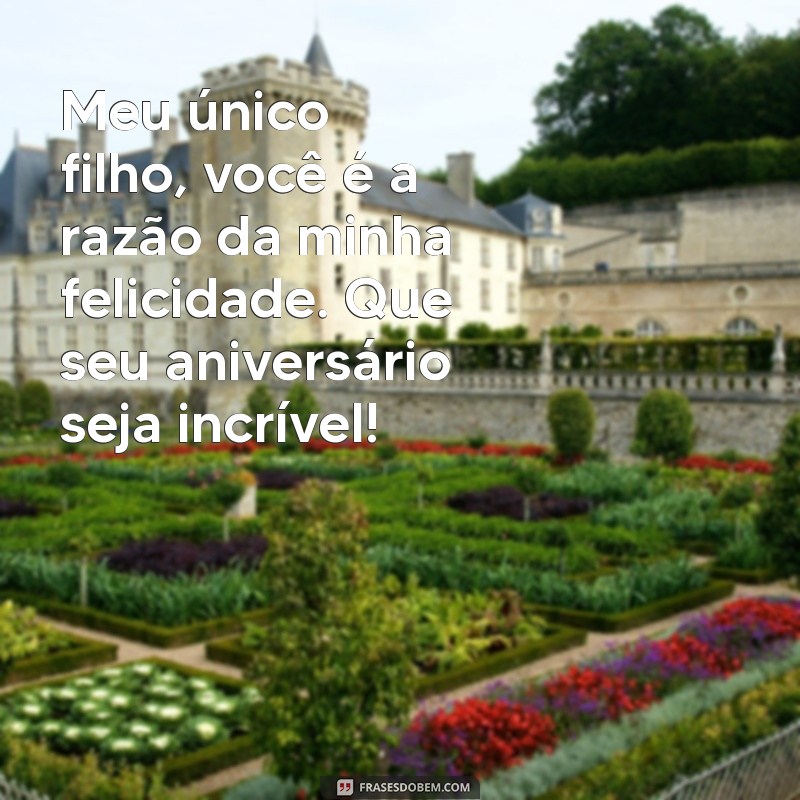 Mensagens Emocionantes de Aniversário para Mães de Filhos Únicos 