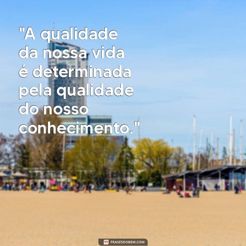 frases einstein conhecimento 