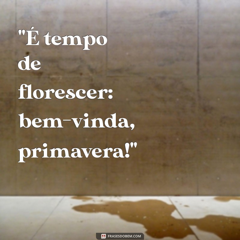 bem vinda primavera frases 