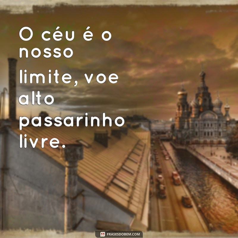 frases de passarinhos livres O céu é o nosso limite, voe alto passarinho livre.