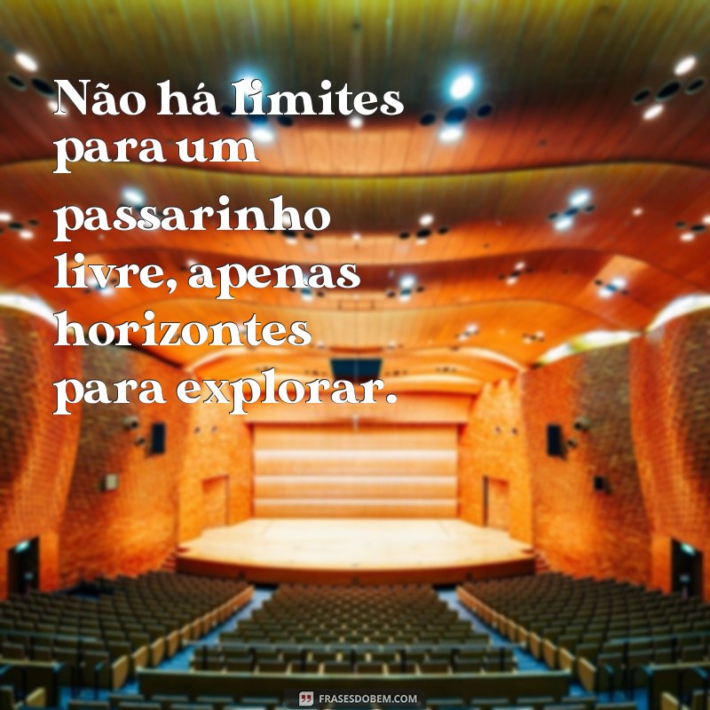 Descubra a liberdade nas lindas frases de passarinhos 