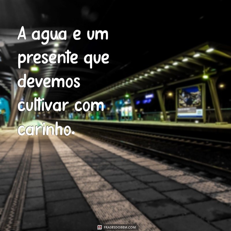 Frases Inspiradoras para Celebrar o Dia da Água: Reflexões e Conscientização 