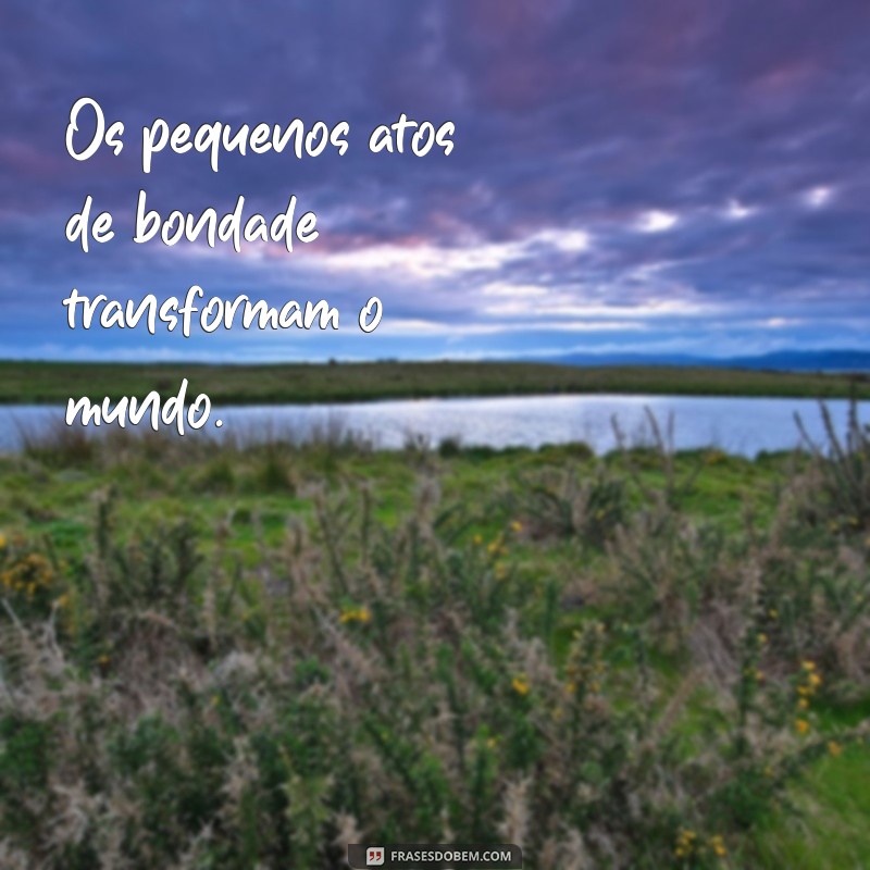 Frases Inspiradoras de Santa Teresinha: Reflexões de Fé e Esperança 