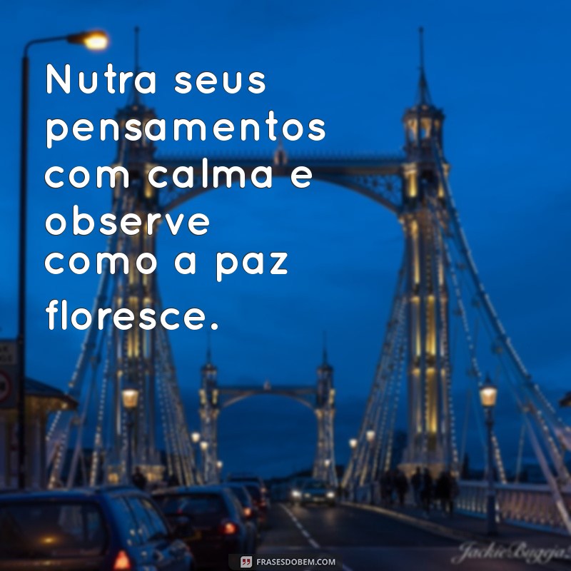 Frases Inspiradoras para Cultivar a Paz no Coração 