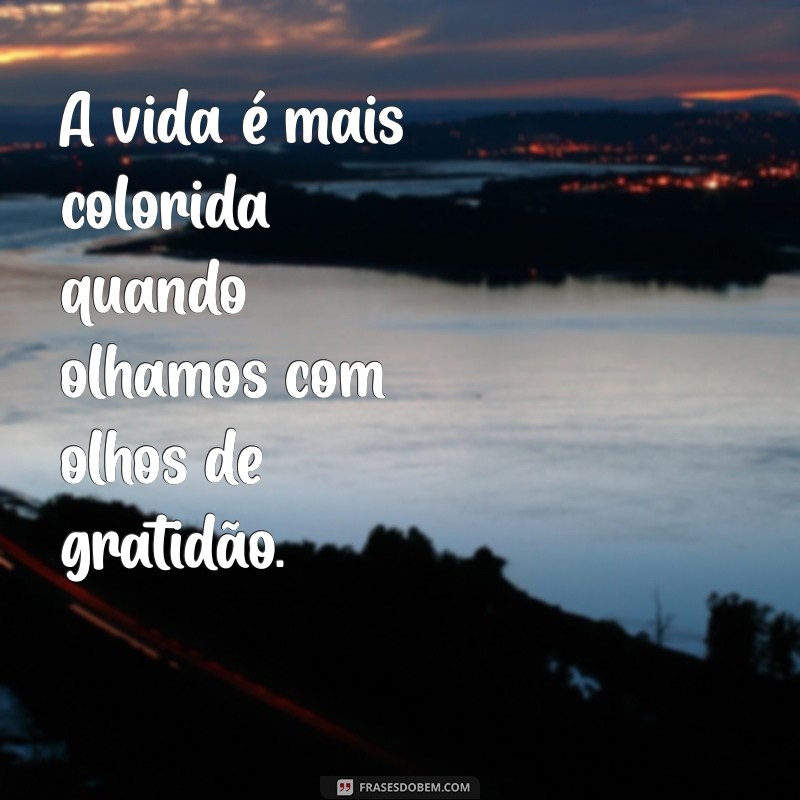 Frases Inspiradoras para Valorizar as Bênçãos da Vida 