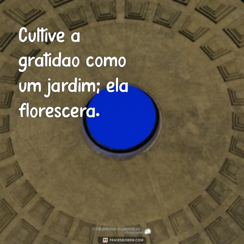 Frases Inspiradoras para Valorizar as Bênçãos da Vida 