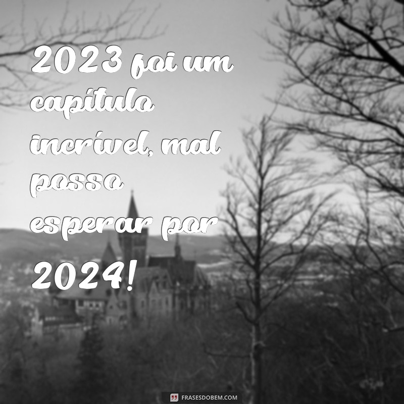 Gratidão 2023: Reflexões e Expectativas para um 2024 Transformador 