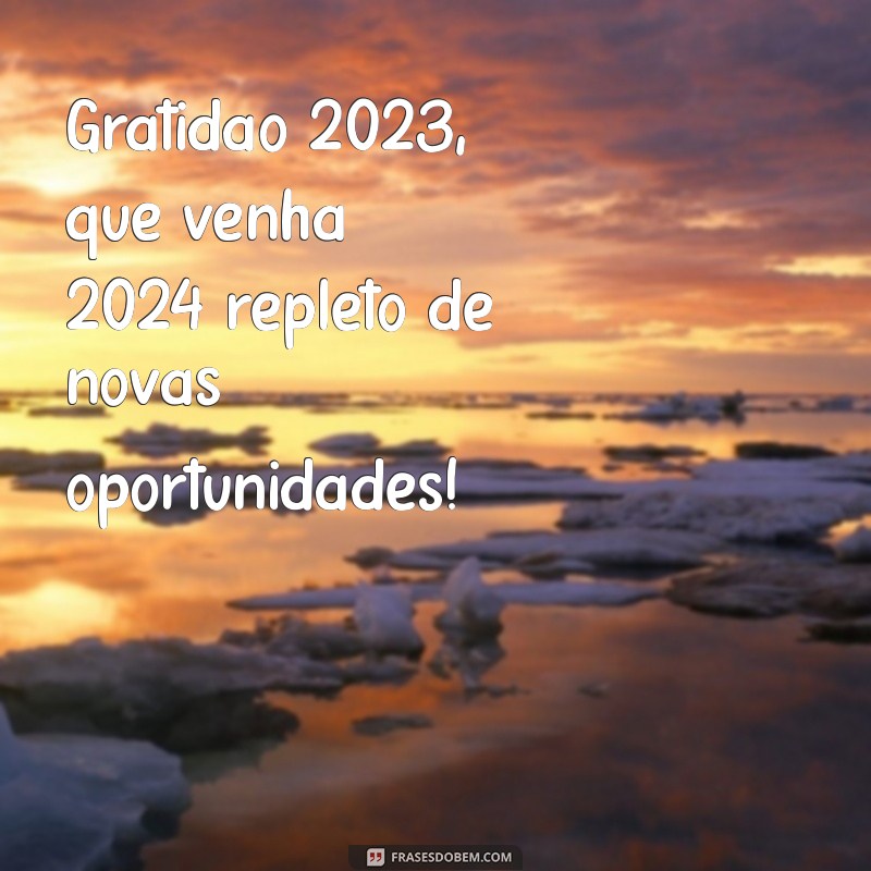 gratidao 2023 que venha 2024 Gratidão 2023, que venha 2024 repleto de novas oportunidades!