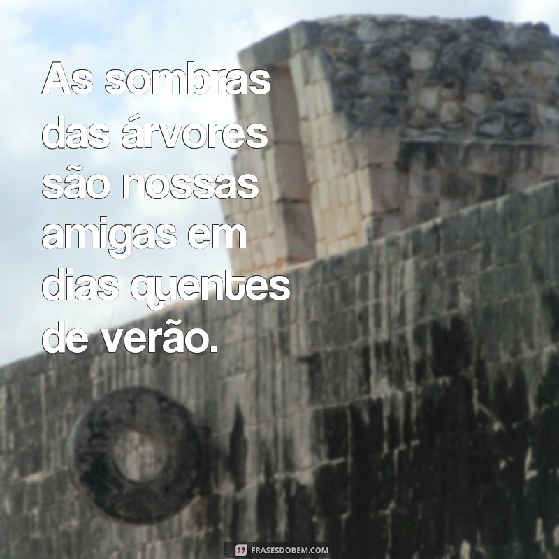 Descubra a beleza e sabedoria das frases sobre árvores 