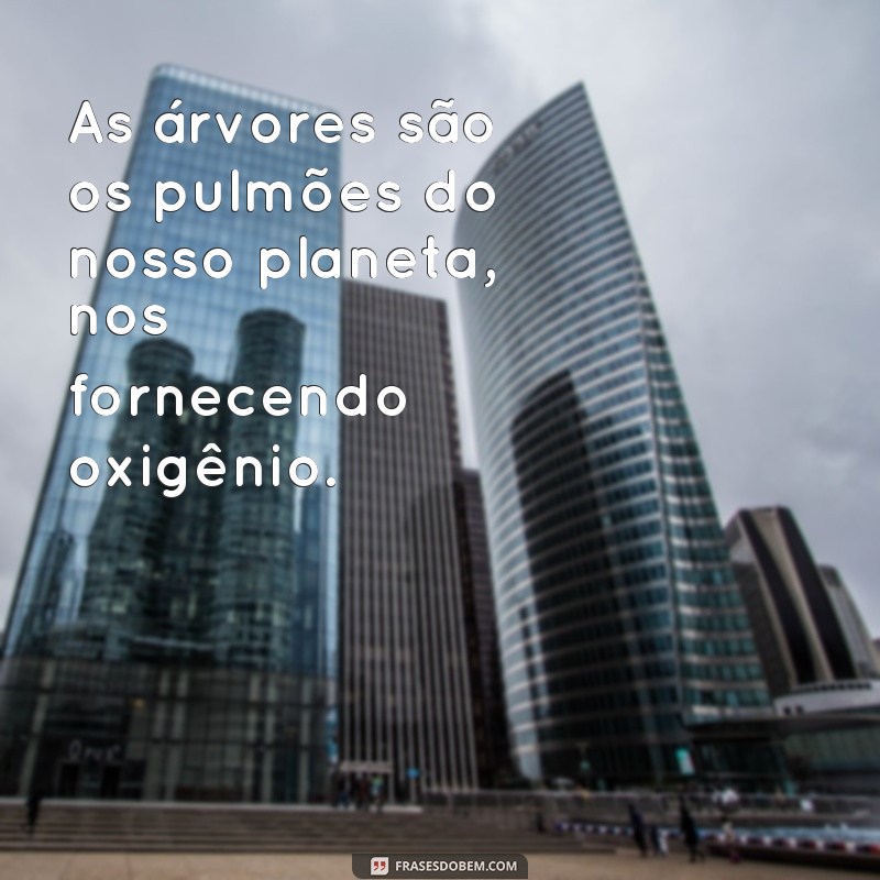 frases de arvores As árvores são os pulmões do nosso planeta, nos fornecendo oxigênio.