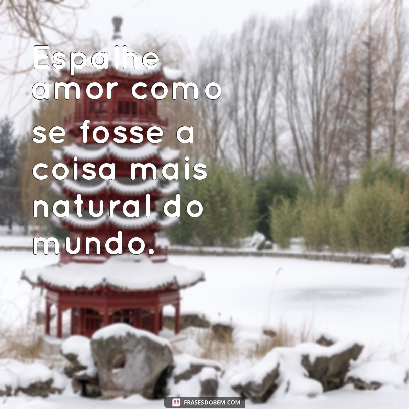 Frases Inspiradoras para Espalhar Amor e Positividade 