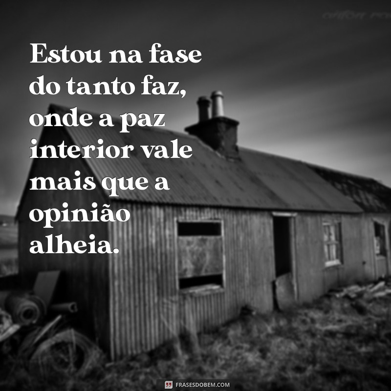 estou na fase do tanto faz Estou na fase do tanto faz, onde a paz interior vale mais que a opinião alheia.