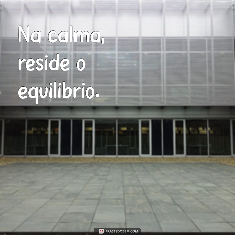 Equilíbrio em Palavras: Frases Curtas que Transformam sua Perspectiva 