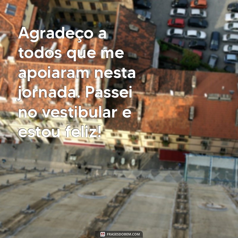 Conquistei Meu Sonho: A Felicidade de Passar no Vestibular 