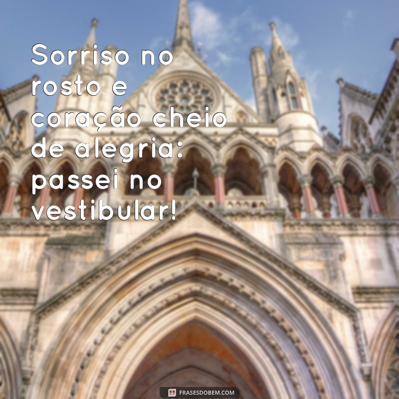 Conquistei Meu Sonho: A Felicidade de Passar no Vestibular 