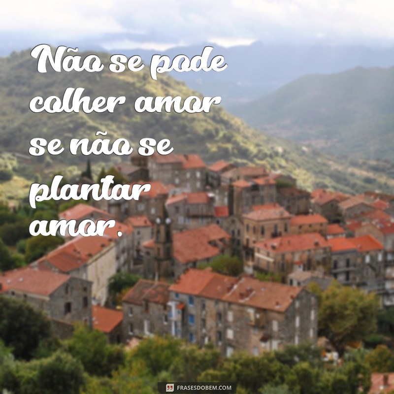 Descubra as mais belas frases de Chico Xavier para inspirar sua vida 