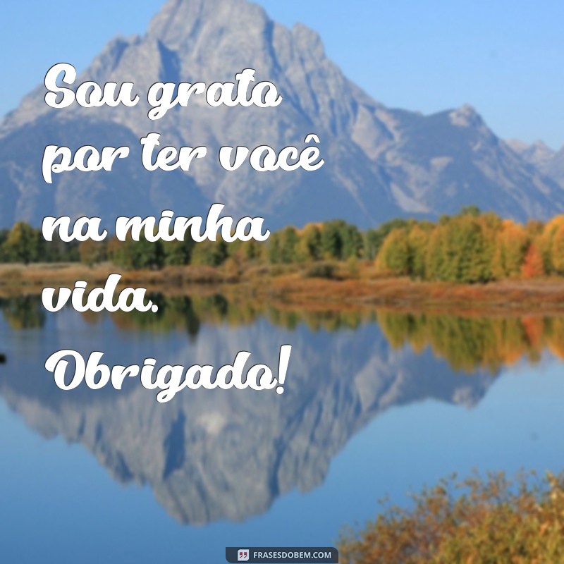 10 Mensagens Curtas de Agradecimento para Inspirar Gratidão 