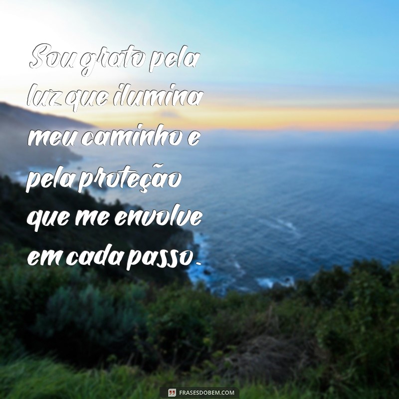 oracao de gratidão e proteção Sou grato pela luz que ilumina meu caminho e pela proteção que me envolve em cada passo.