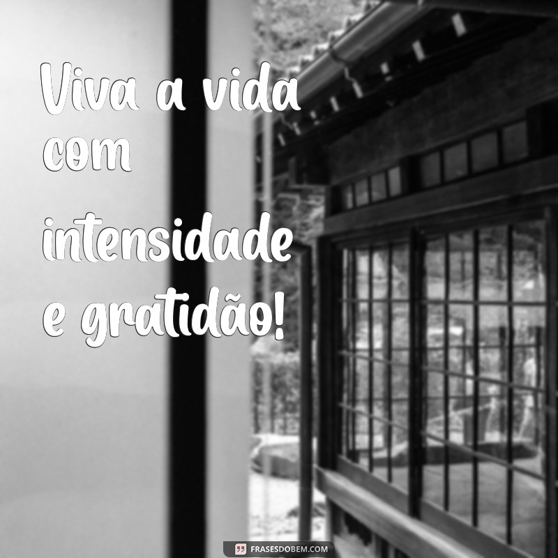 viva a vida Viva a vida com intensidade e gratidão!